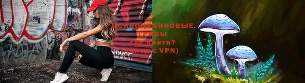 прущие грибы Абаза