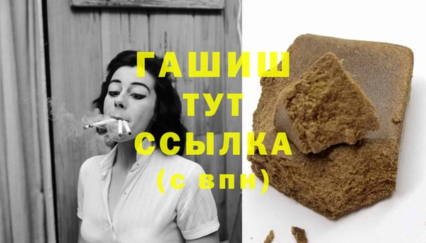 прущие грибы Абаза